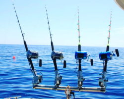 REALIZZAZIONE_4PORTACANNE_2