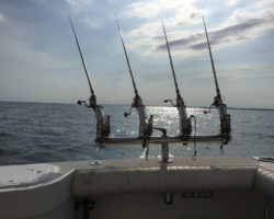 REALIZZAZIONE_4PORTACANNE_5