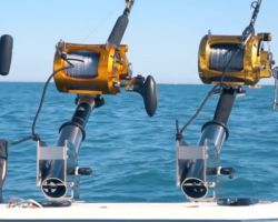 portacanne_SLIDER_2